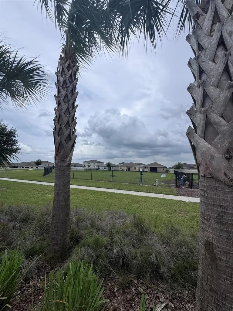 641 Griffon Avenue Lake Alfred FL 33850