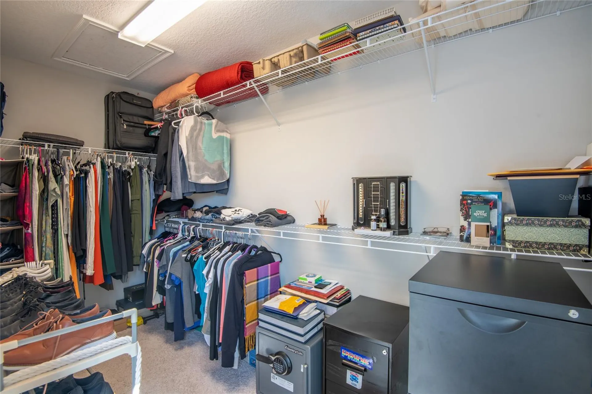 17847 Althea Blue Place Lutz FL 33558