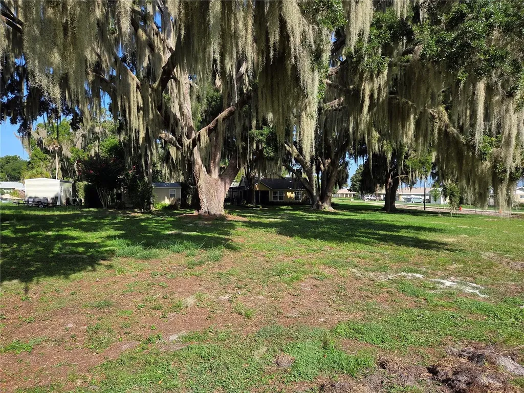 Lakeside Drive Yalaha FL 34797