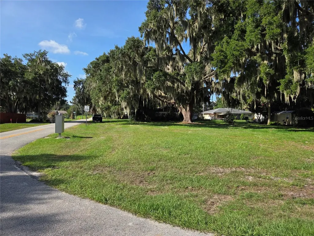 Lakeside Drive Yalaha FL 34797