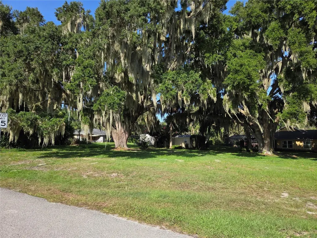 Lakeside Drive Yalaha FL 34797