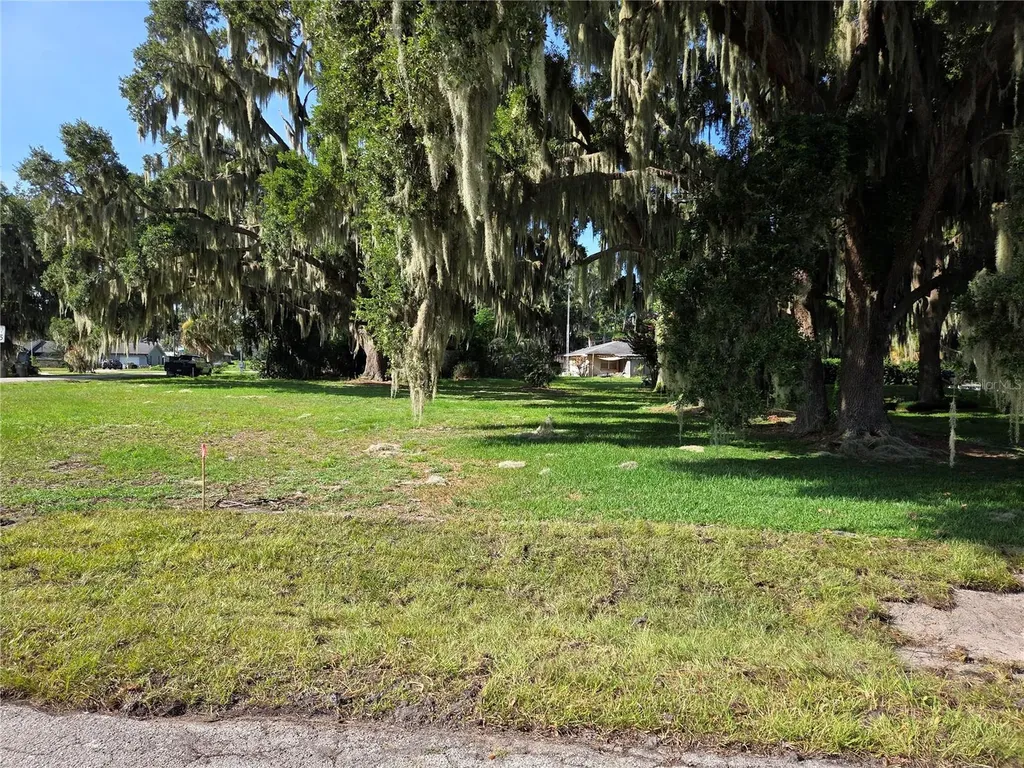 Lakeside Drive Yalaha FL 34797