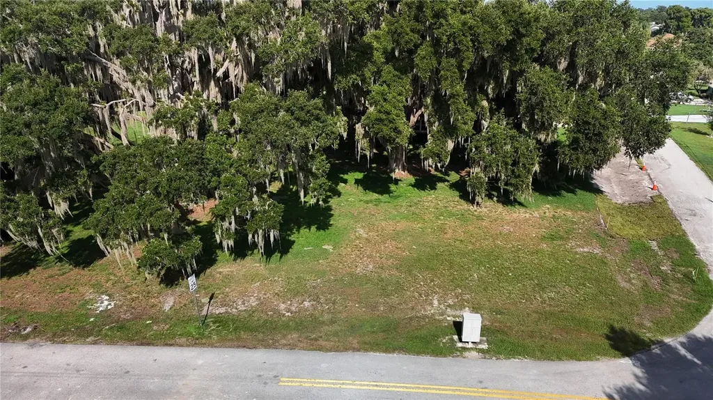 Lakeside Drive Yalaha FL 34797