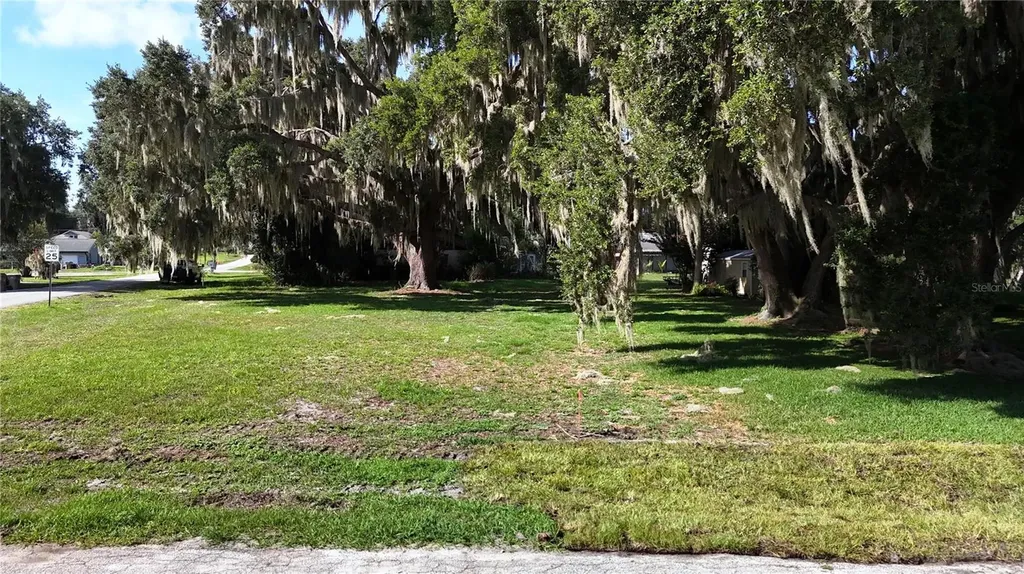 Lakeside Drive Yalaha FL 34797