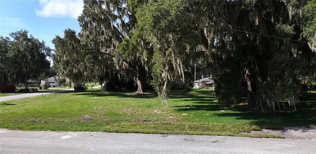 Lakeside Drive Yalaha FL 34797