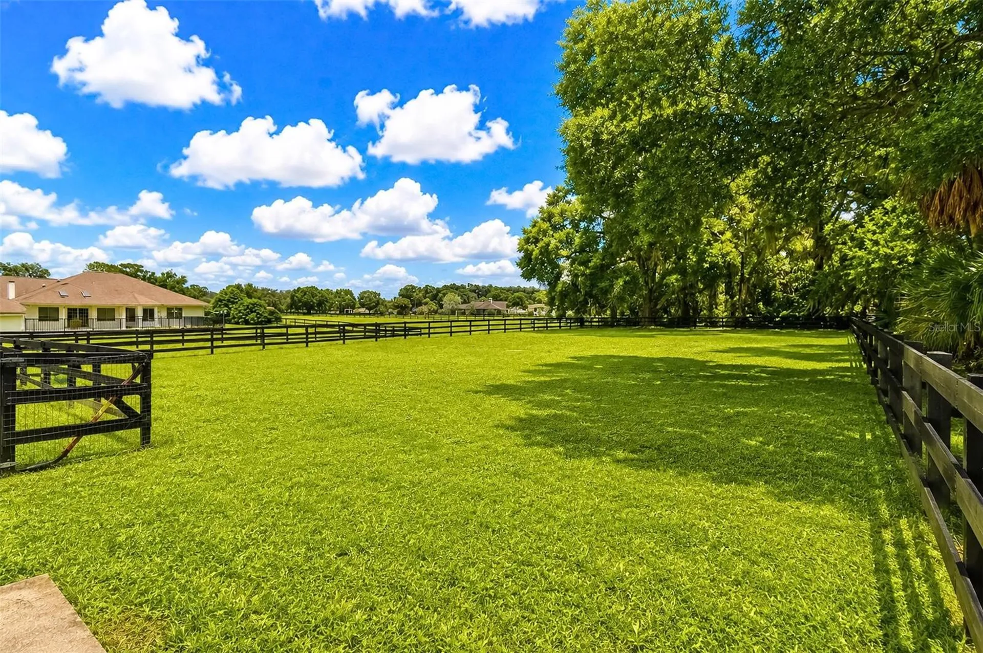 6899 SW 99th Street Ocala FL 34476