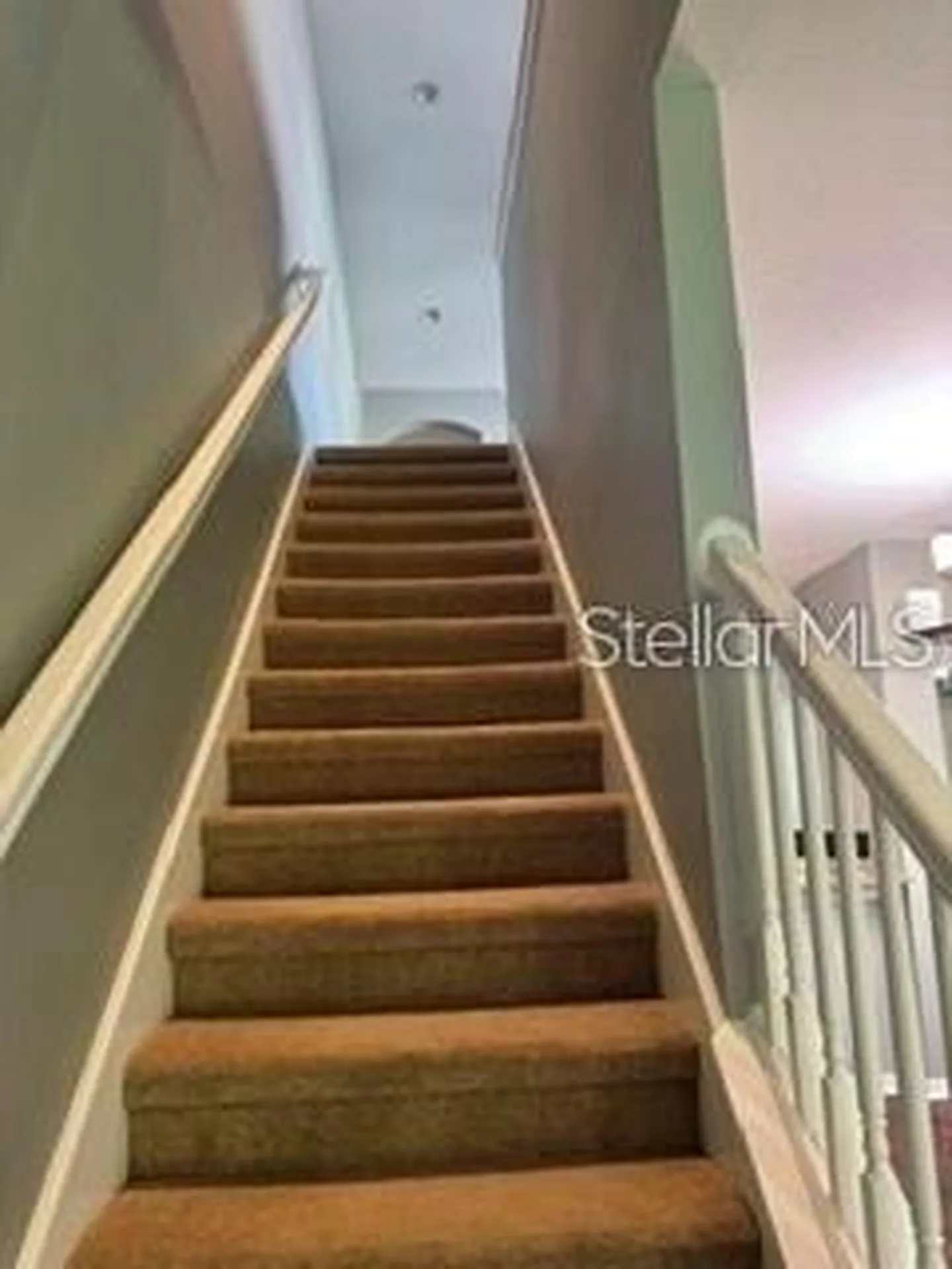 11253 Windsor Place Circle Tampa FL 33626
