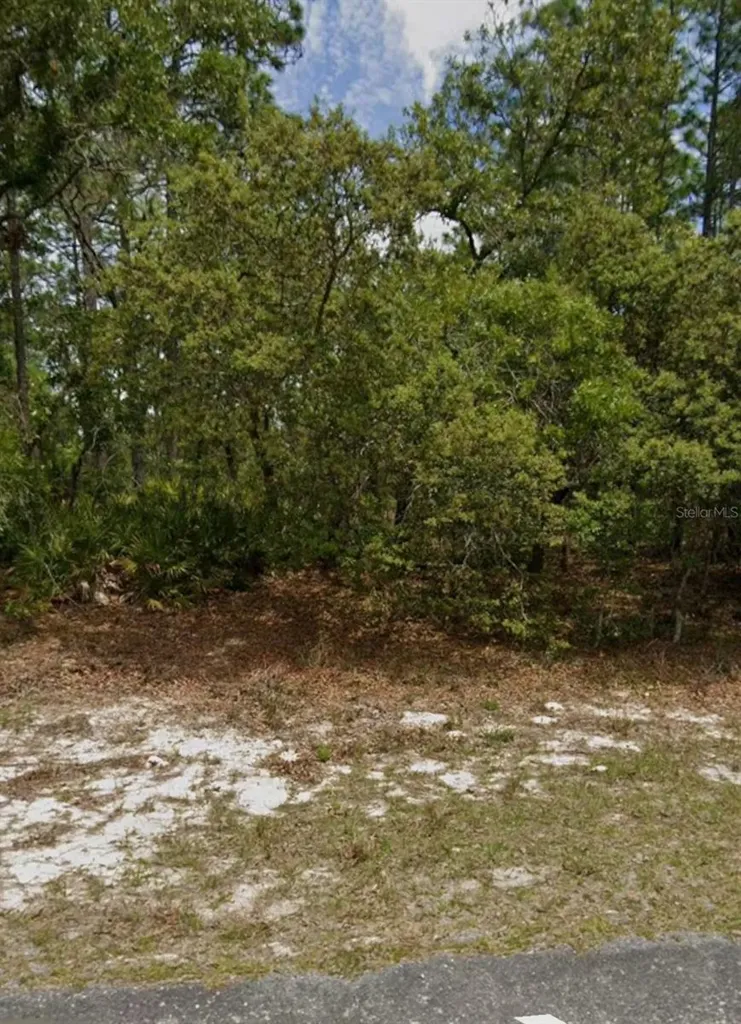 5732 N Summerfield Point Dunnellon FL 34434