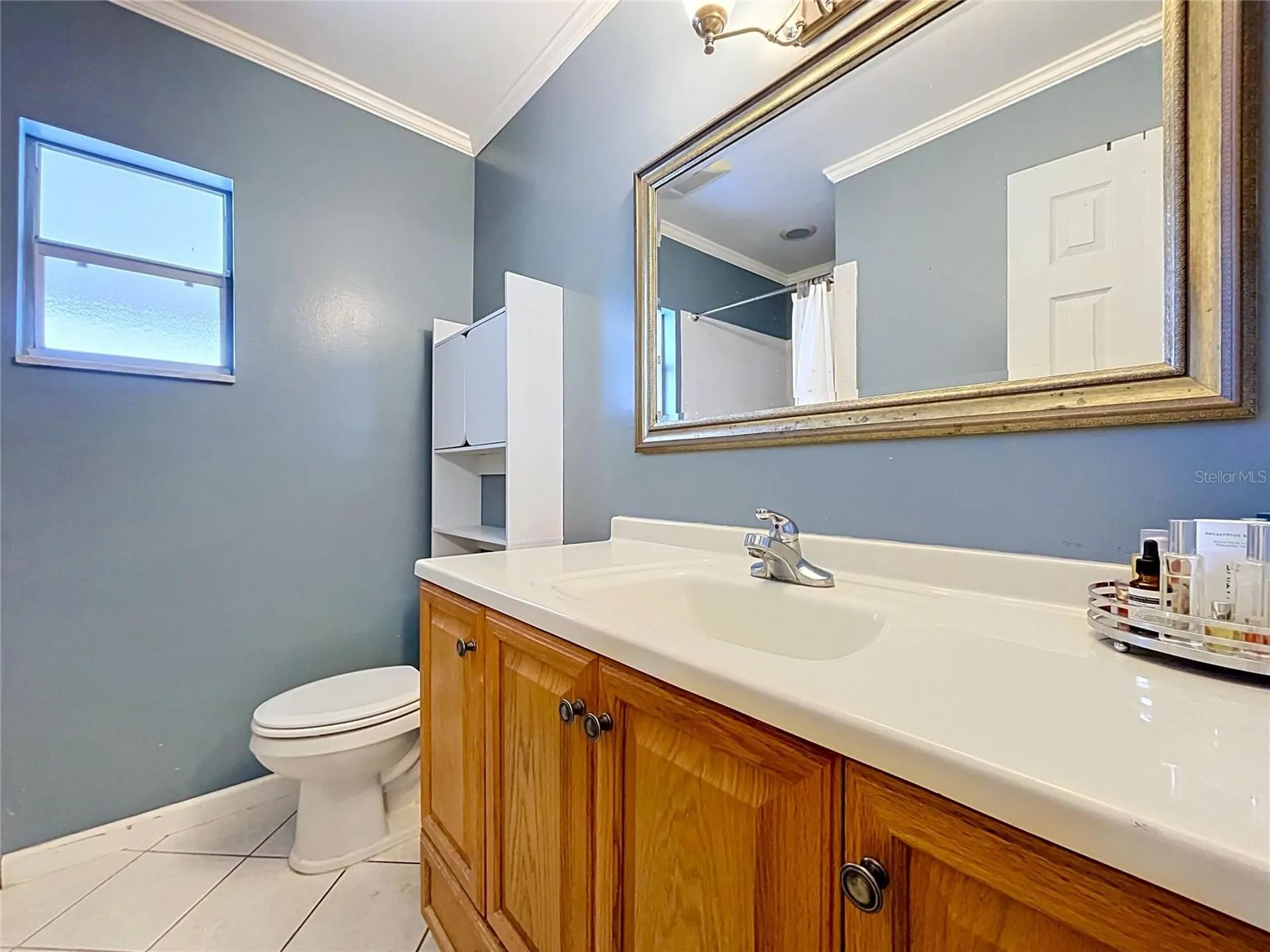 1005 Hallwood Loop Brandon FL 33511