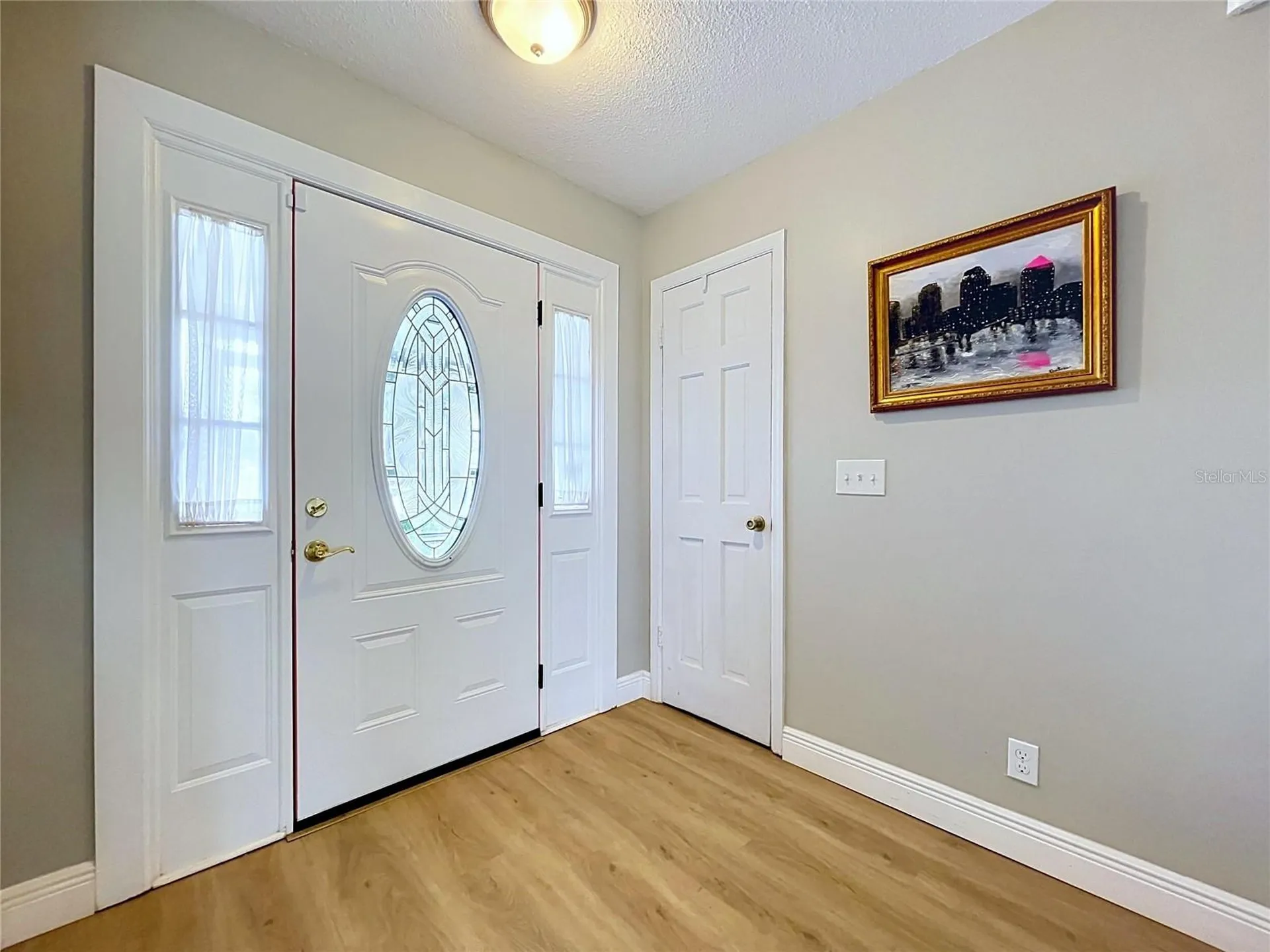 1005 Hallwood Loop Brandon FL 33511