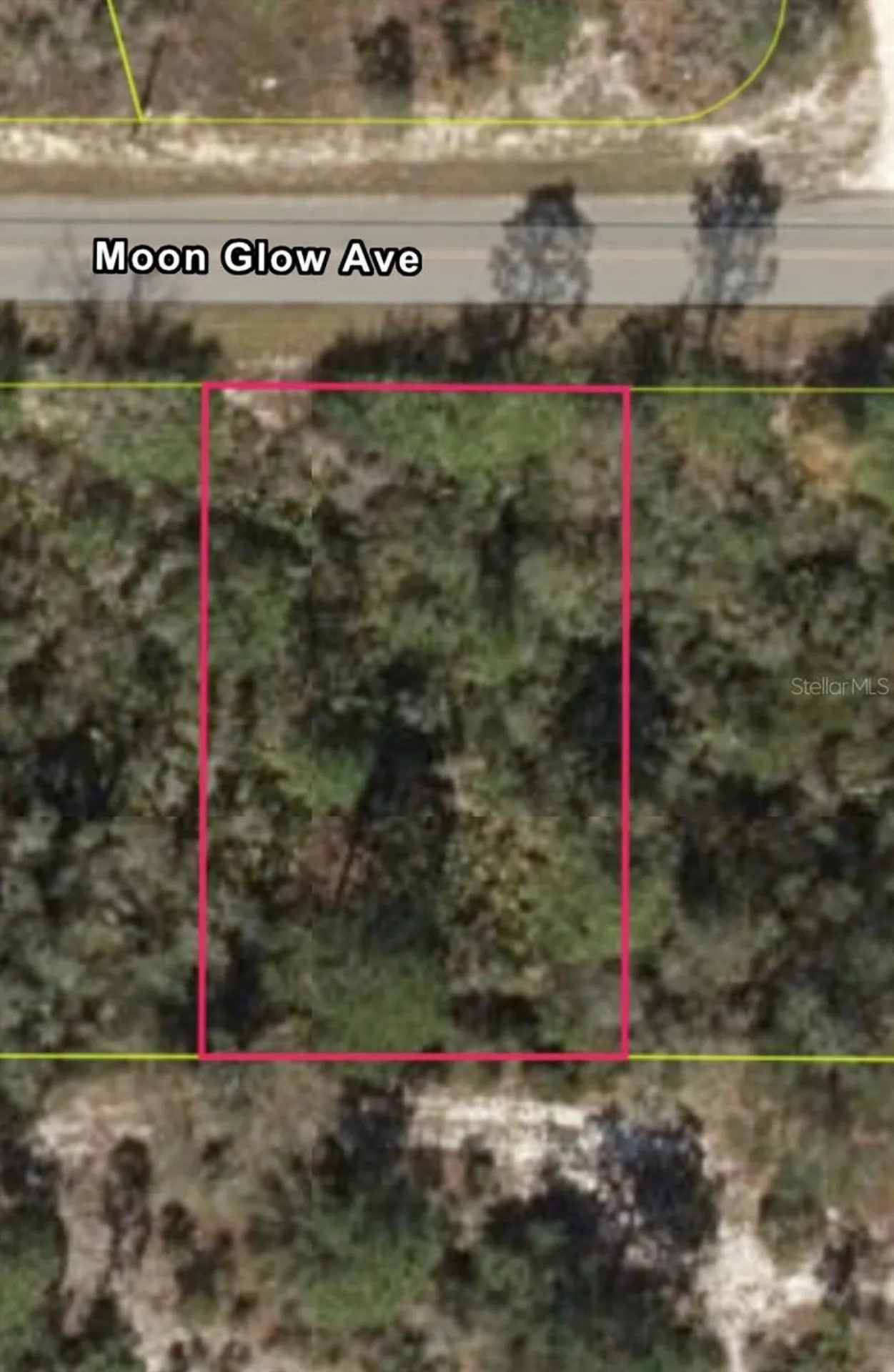 309 Moon Glow Avenue Lake Placid FL 33852