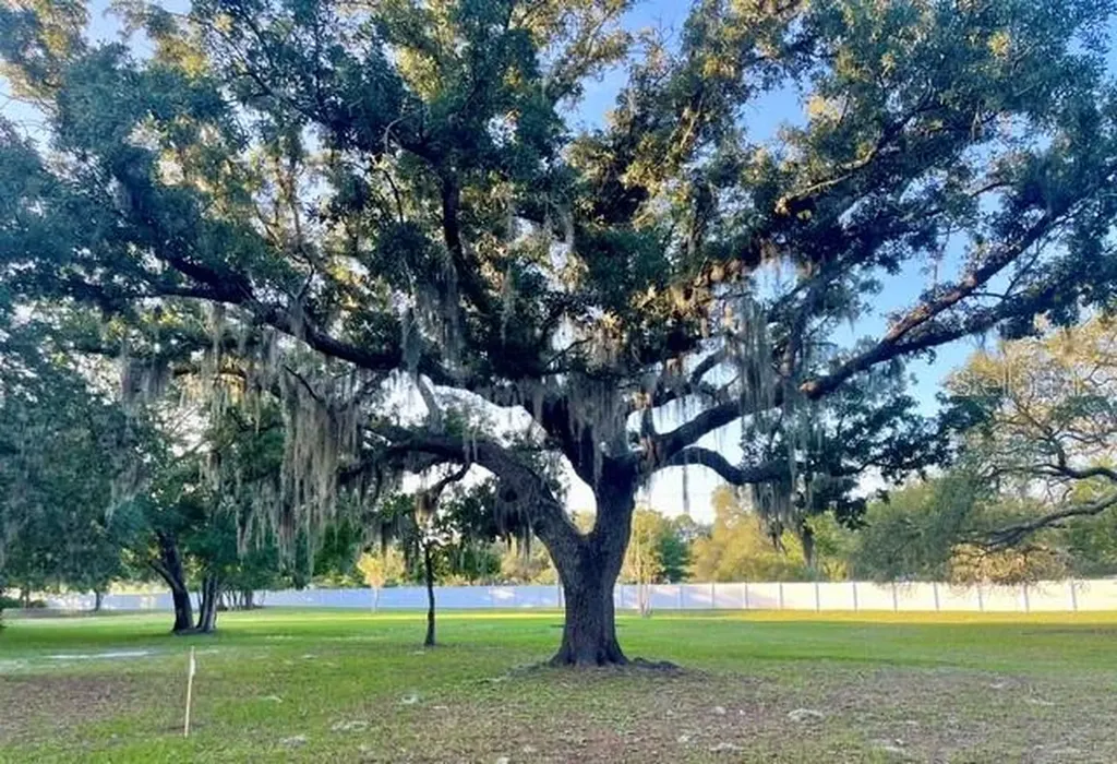 Tbd Osceola Drive New Port Richey FL 34654