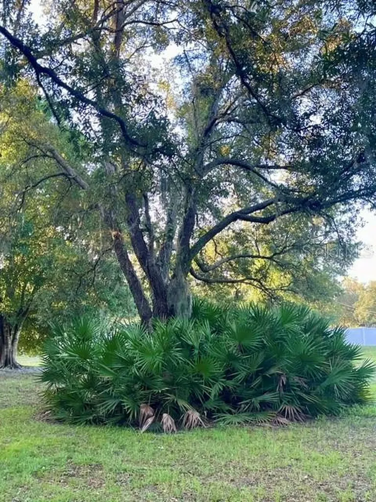 Tbd Osceola Drive New Port Richey FL 34654