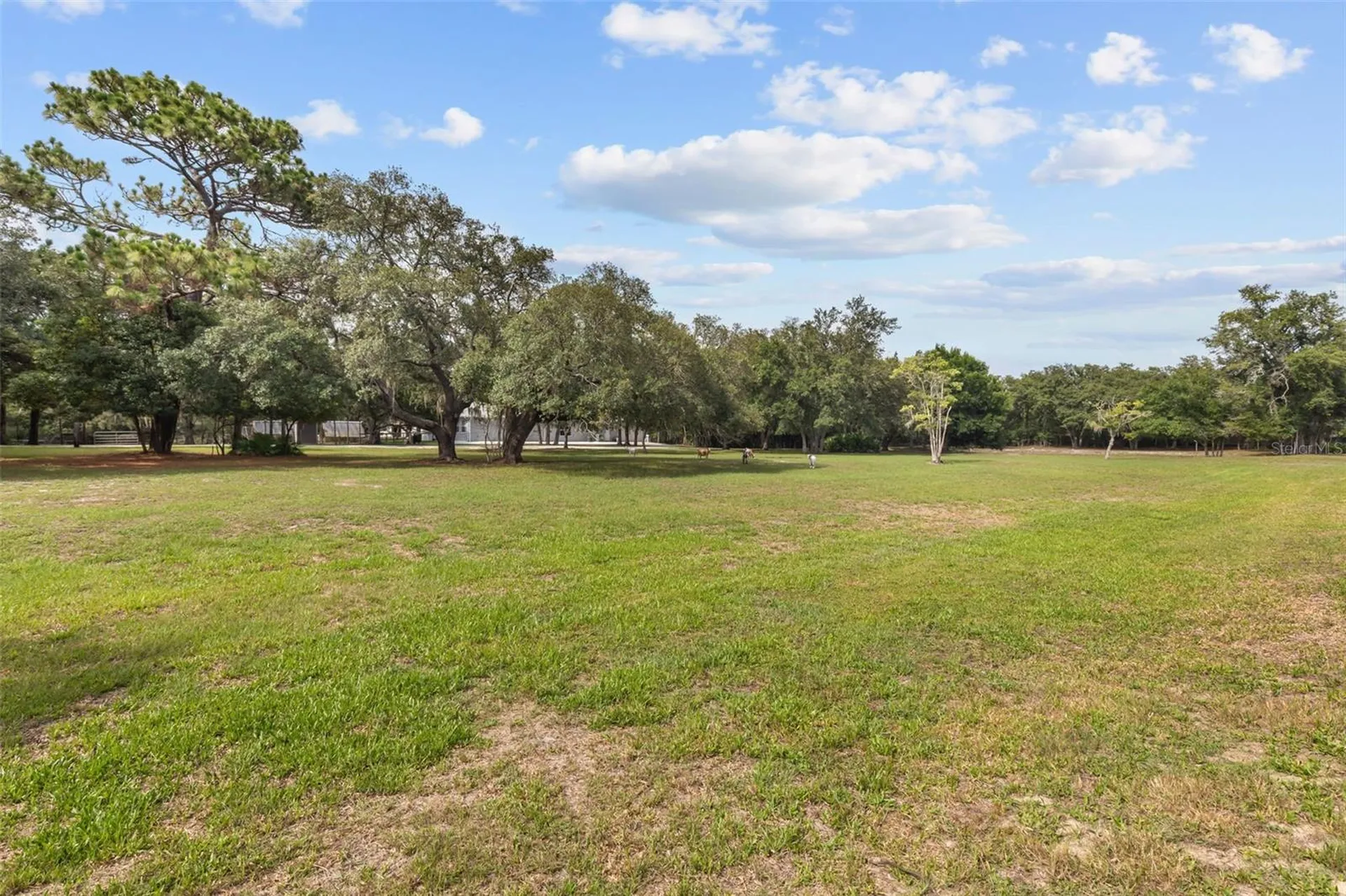 Tbd Osceola Drive New Port Richey FL 34654