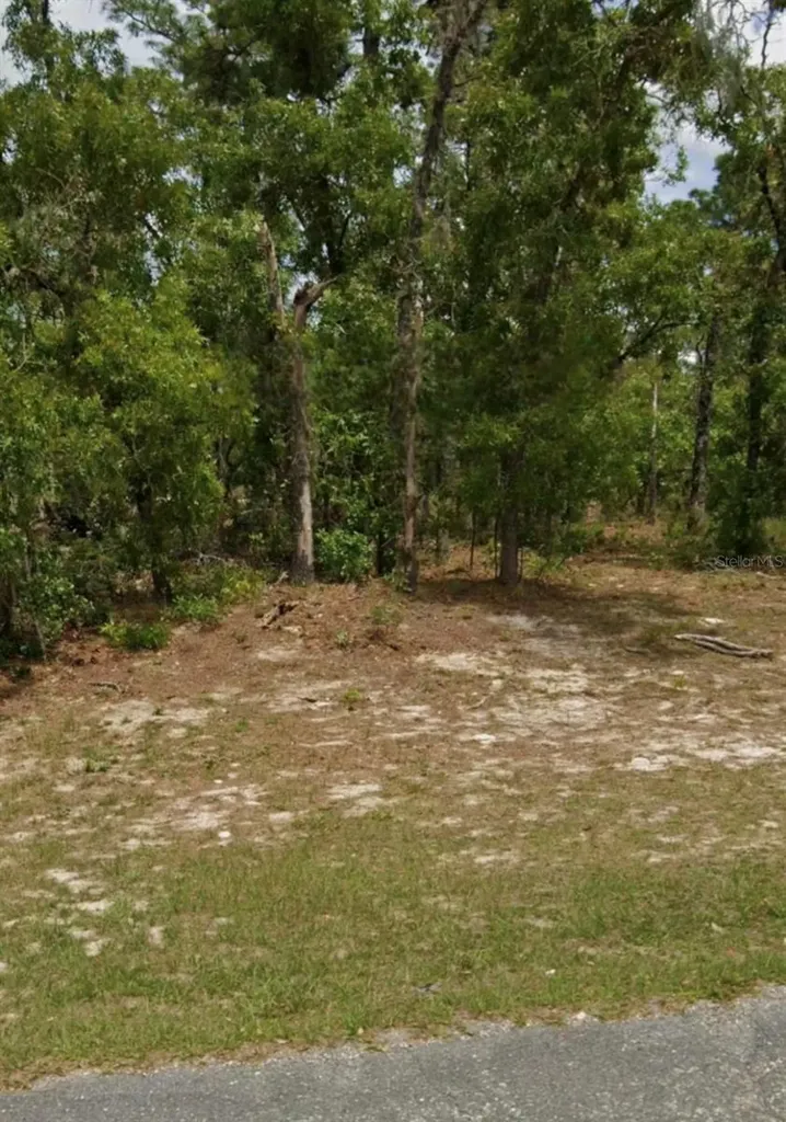 5689 N Summerfield Point Dunnellon FL 34434