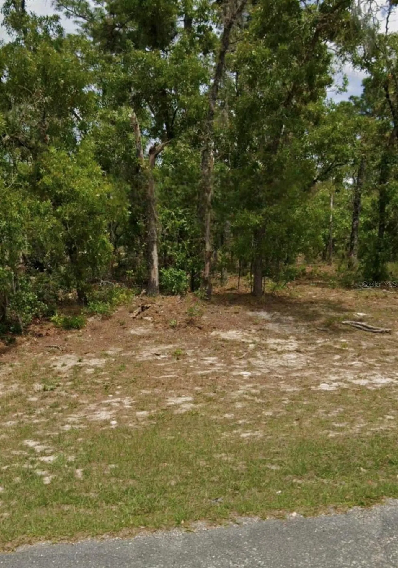 5689 N Summerfield Point Dunnellon FL 34434
