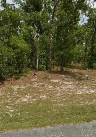 5689 N Summerfield Point Dunnellon FL 34434