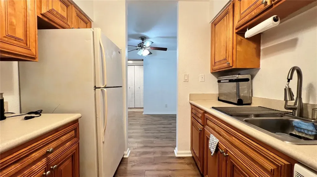 13289 Arbor Pointe Circle Tampa FL 33617
