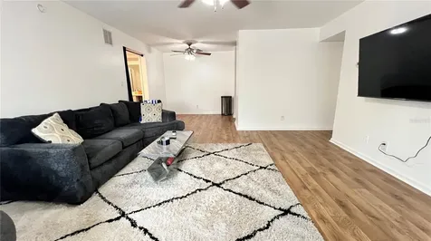 13289 Arbor Pointe Circle Tampa FL 33617