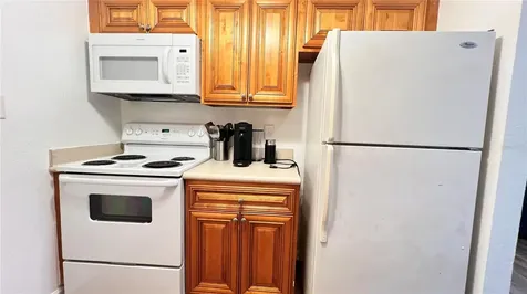 13289 Arbor Pointe Circle Tampa FL 33617