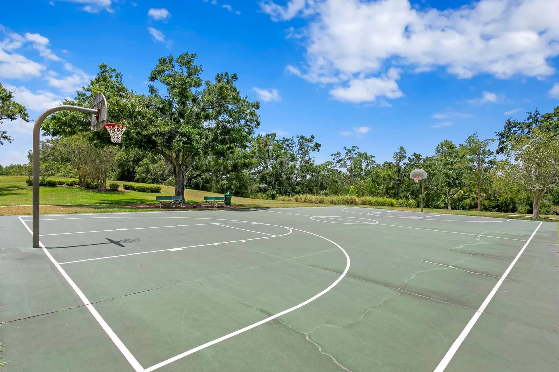 5116 Lesher Court Tampa FL 33624
