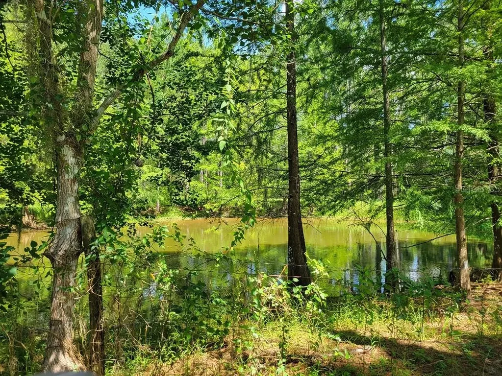 2484 Culbreath Road Brooksville FL 34602
