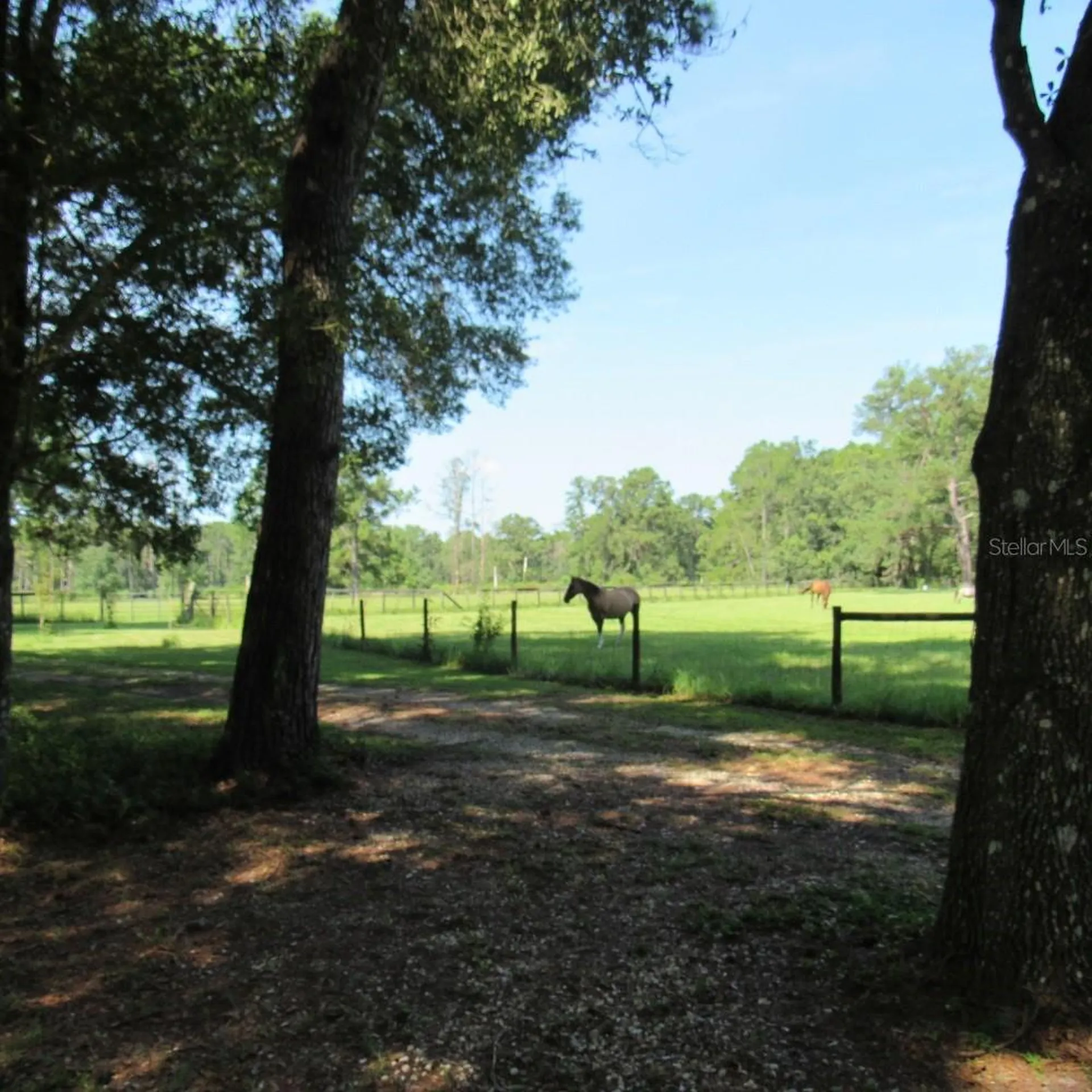 2484 Culbreath Road Brooksville FL 34602