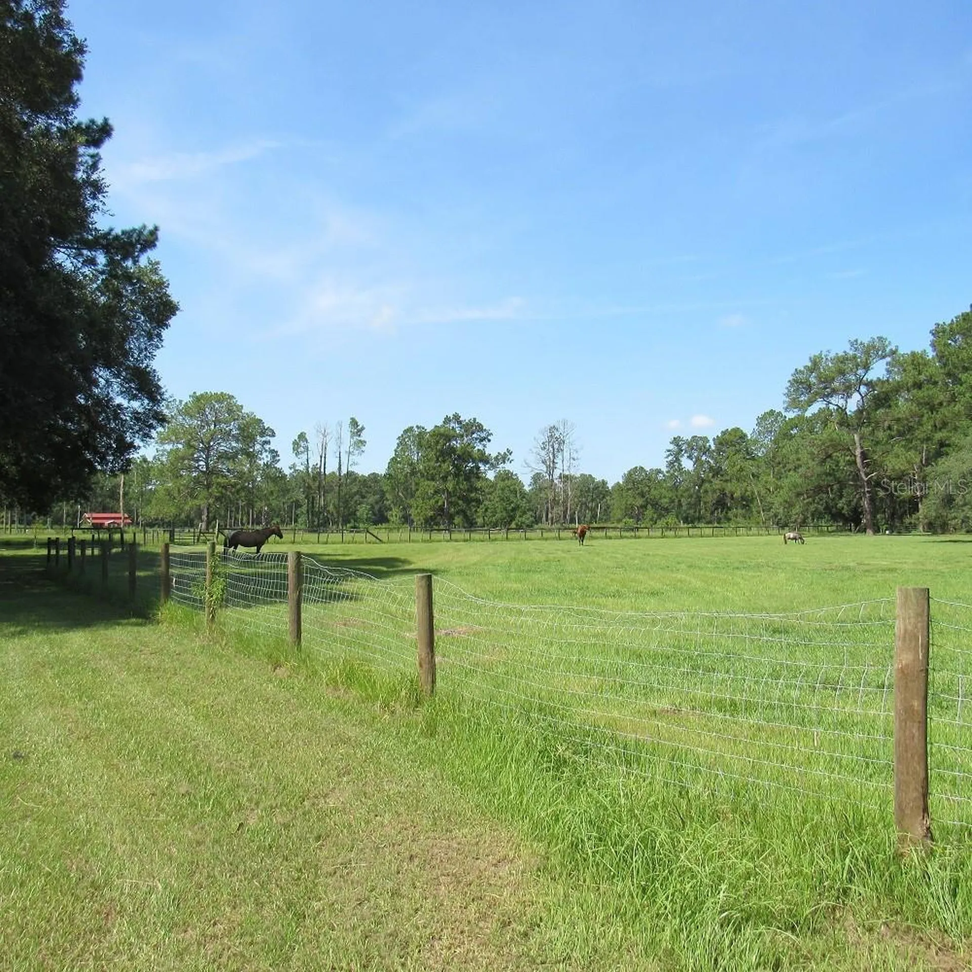 2484 Culbreath Road Brooksville FL 34602
