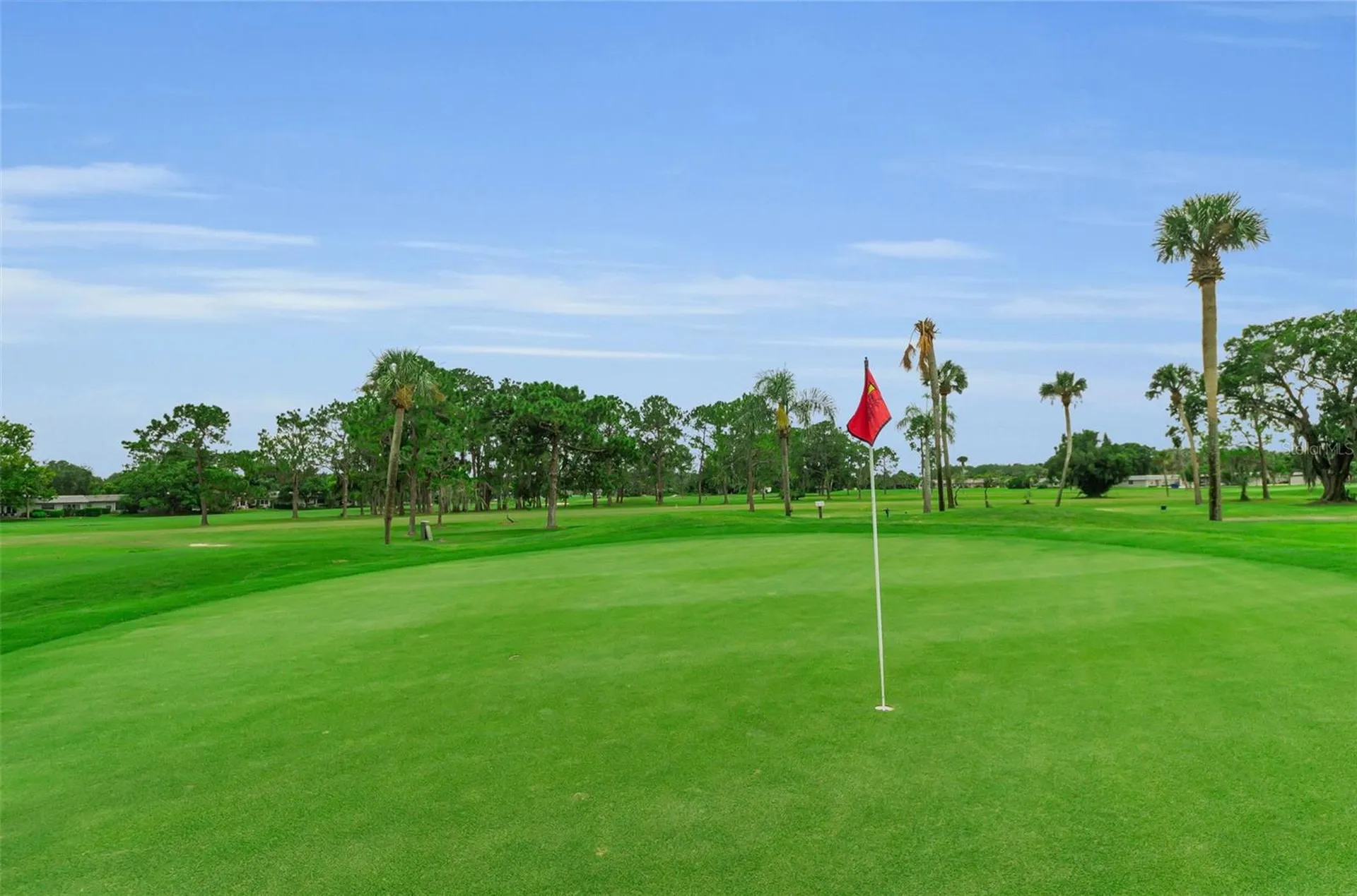 3684 Trophy Boulevard New Port Richey FL 34655