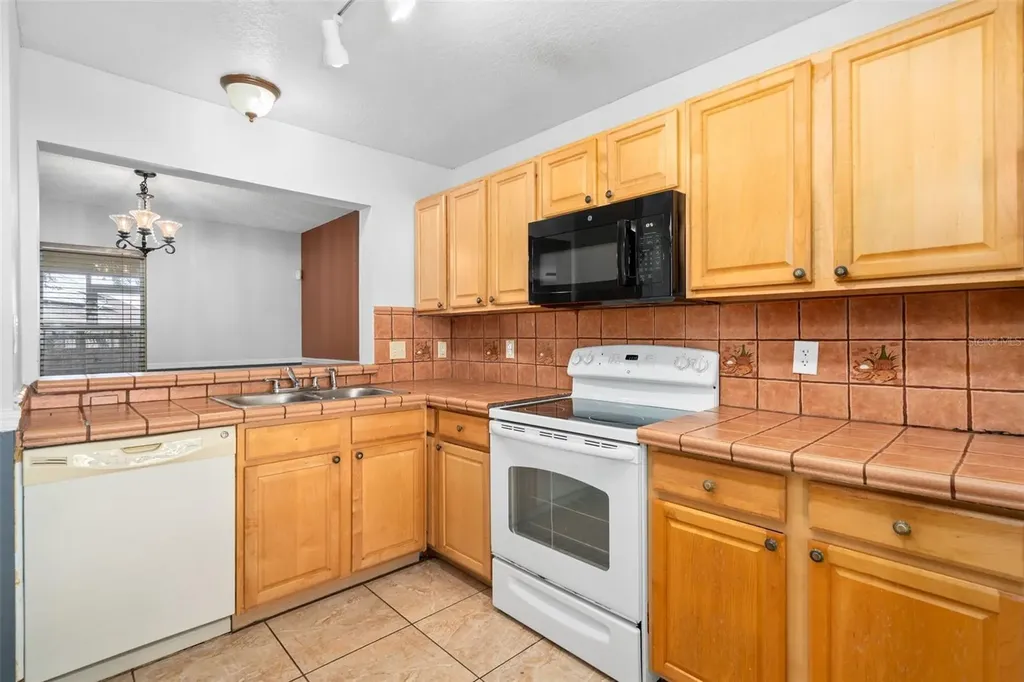 2234 Cypress Knee Loop Kissimmee FL 34743
