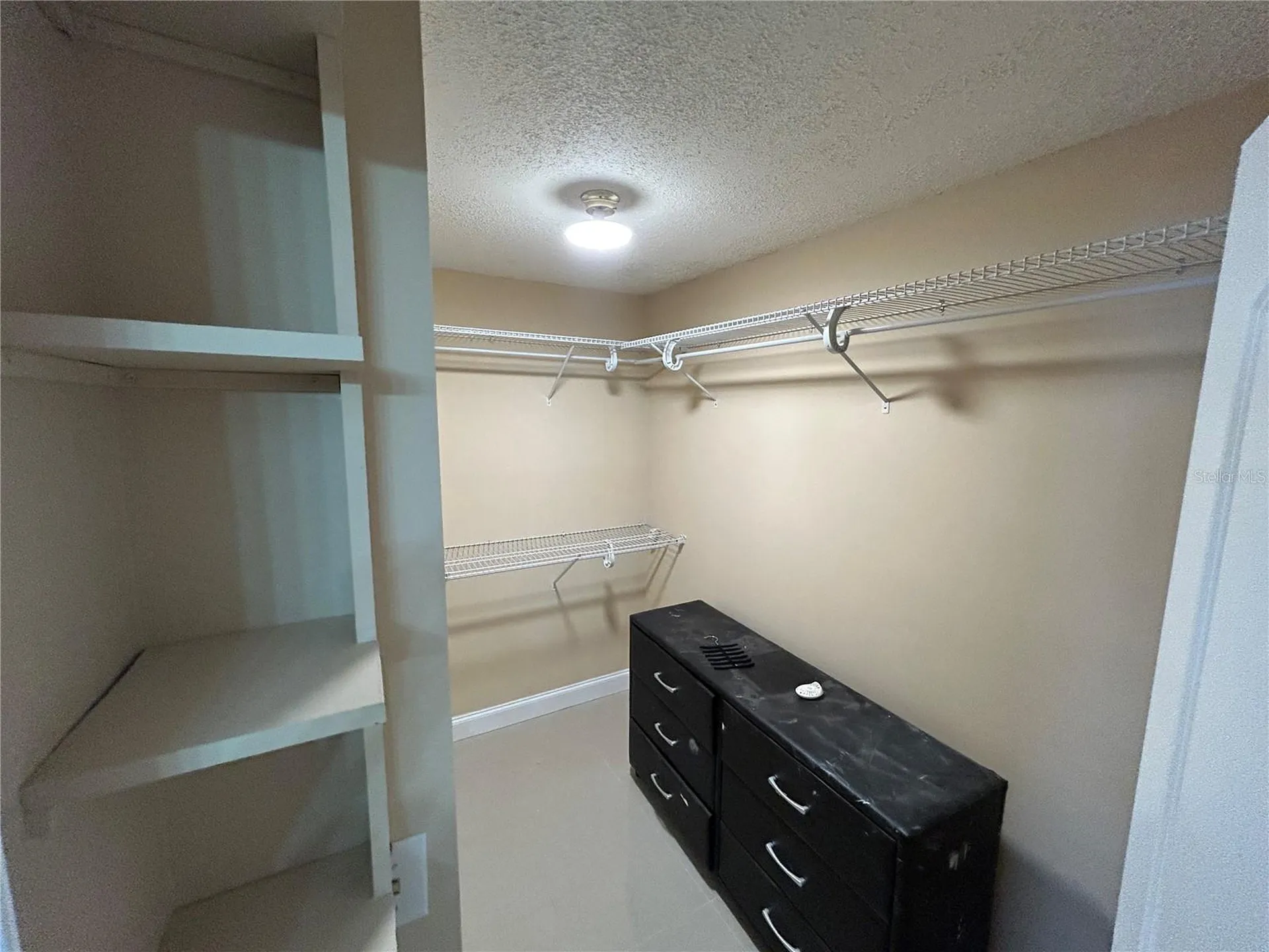 7029 Drury Street Tampa FL 33635