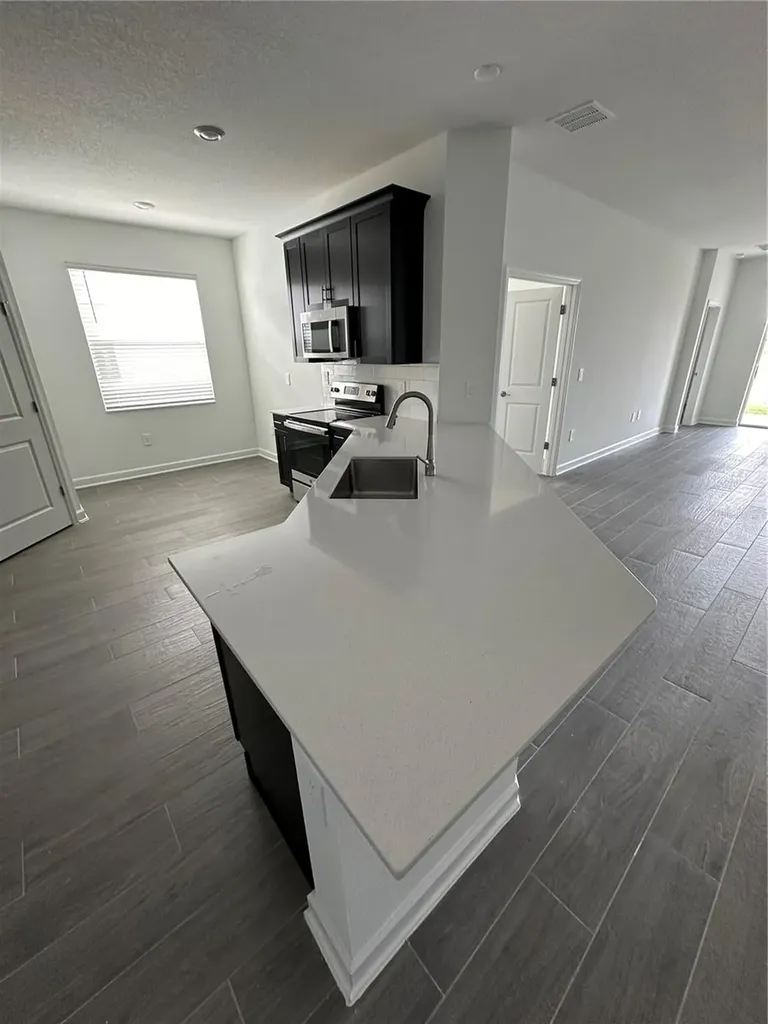 1656 Contentment Loop Kissimmee FL 34744