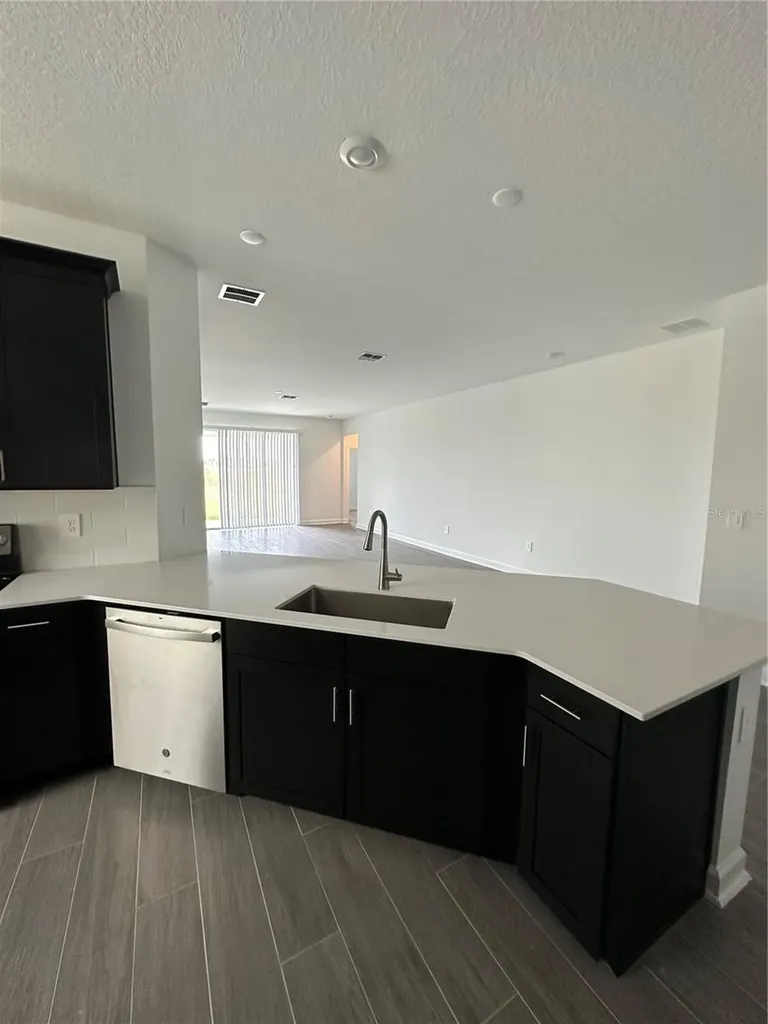 1656 Contentment Loop Kissimmee FL 34744