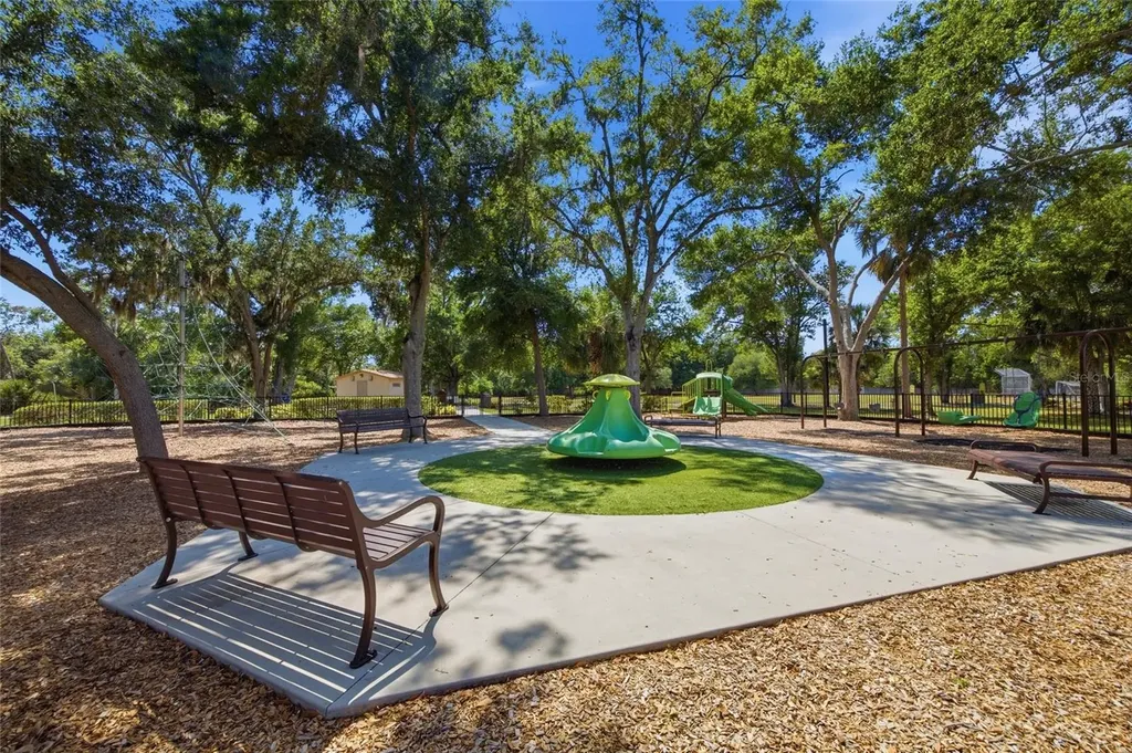 7113 Colony Pointe Drive Riverview FL 33578