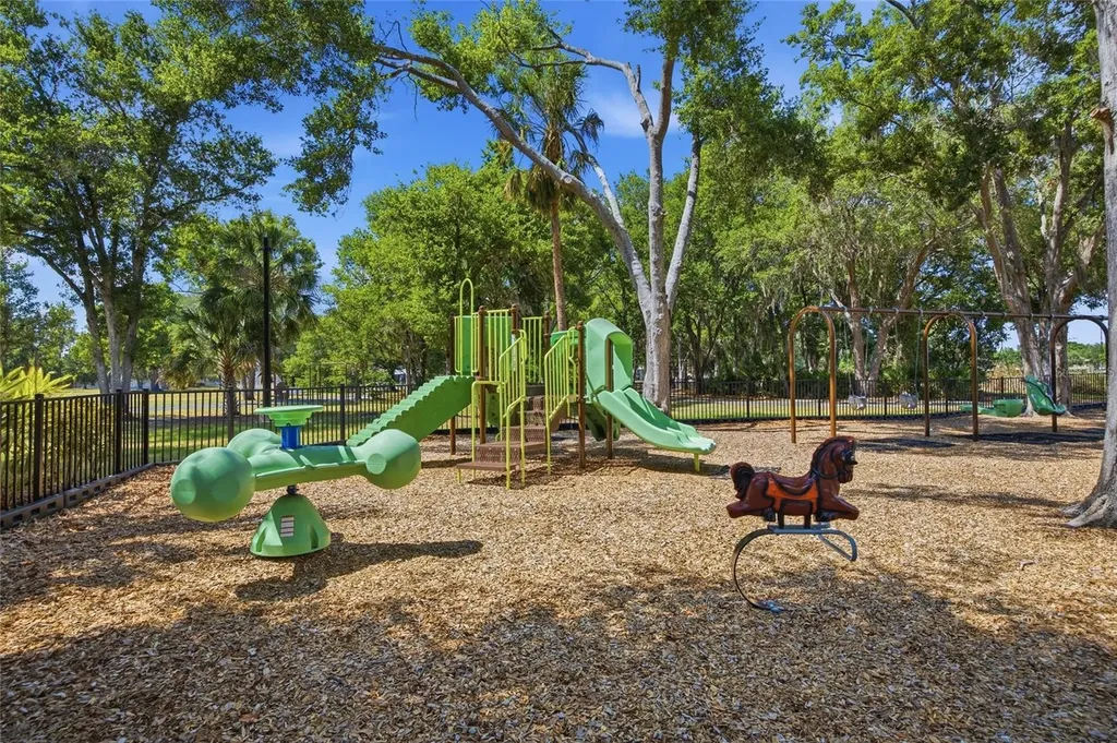 7113 Colony Pointe Drive Riverview FL 33578