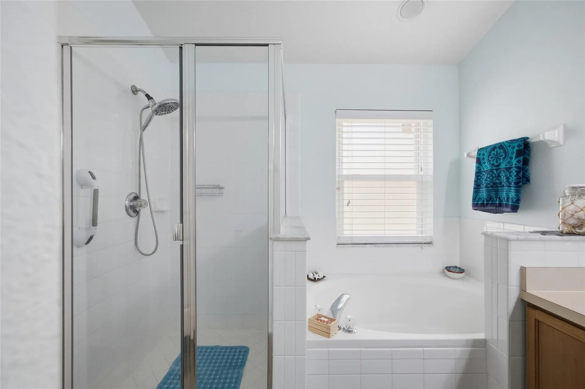 7113 Colony Pointe Drive Riverview FL 33578