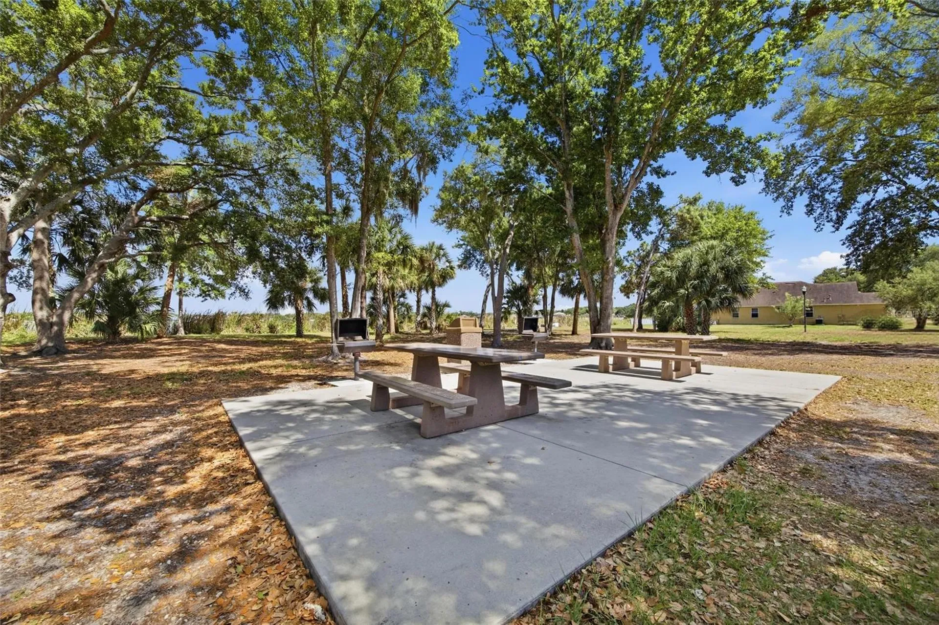 7113 Colony Pointe Drive Riverview FL 33578