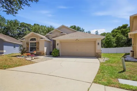 7113 Colony Pointe Drive Riverview FL 33578