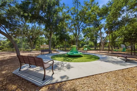 7113 Colony Pointe Drive Riverview FL 33578
