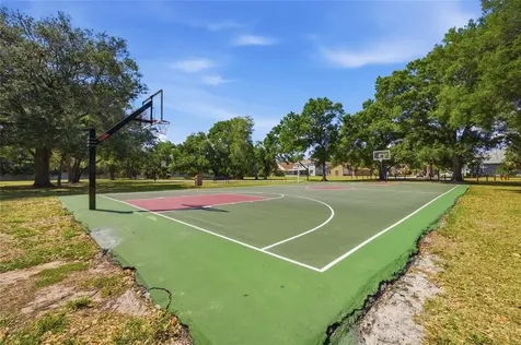 7113 Colony Pointe Drive Riverview FL 33578