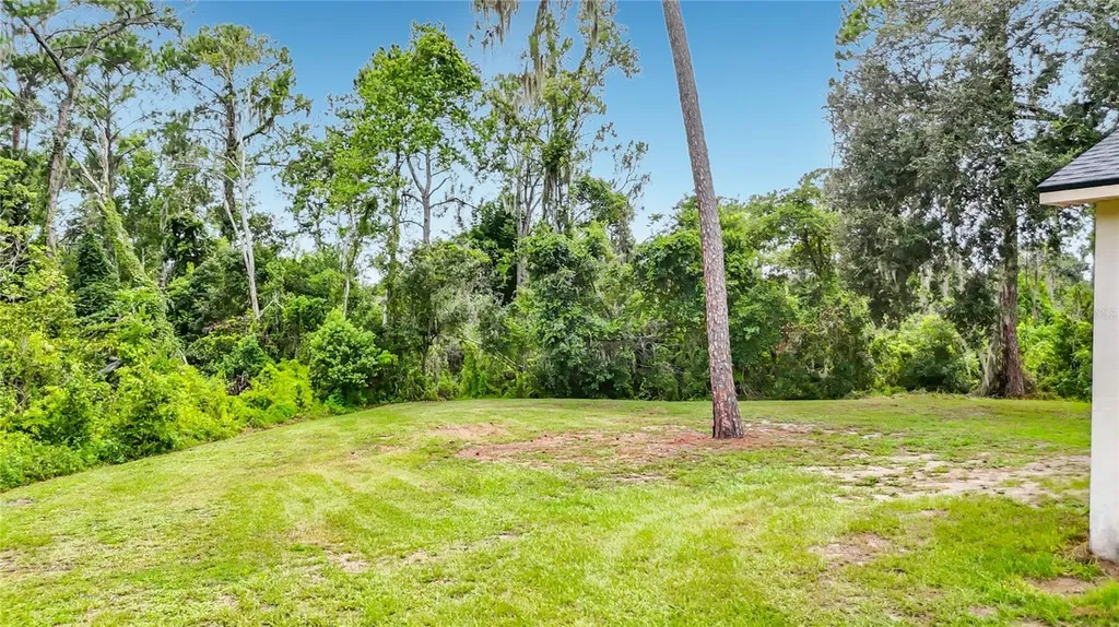11319 Tralee Drive Riverview FL 33569