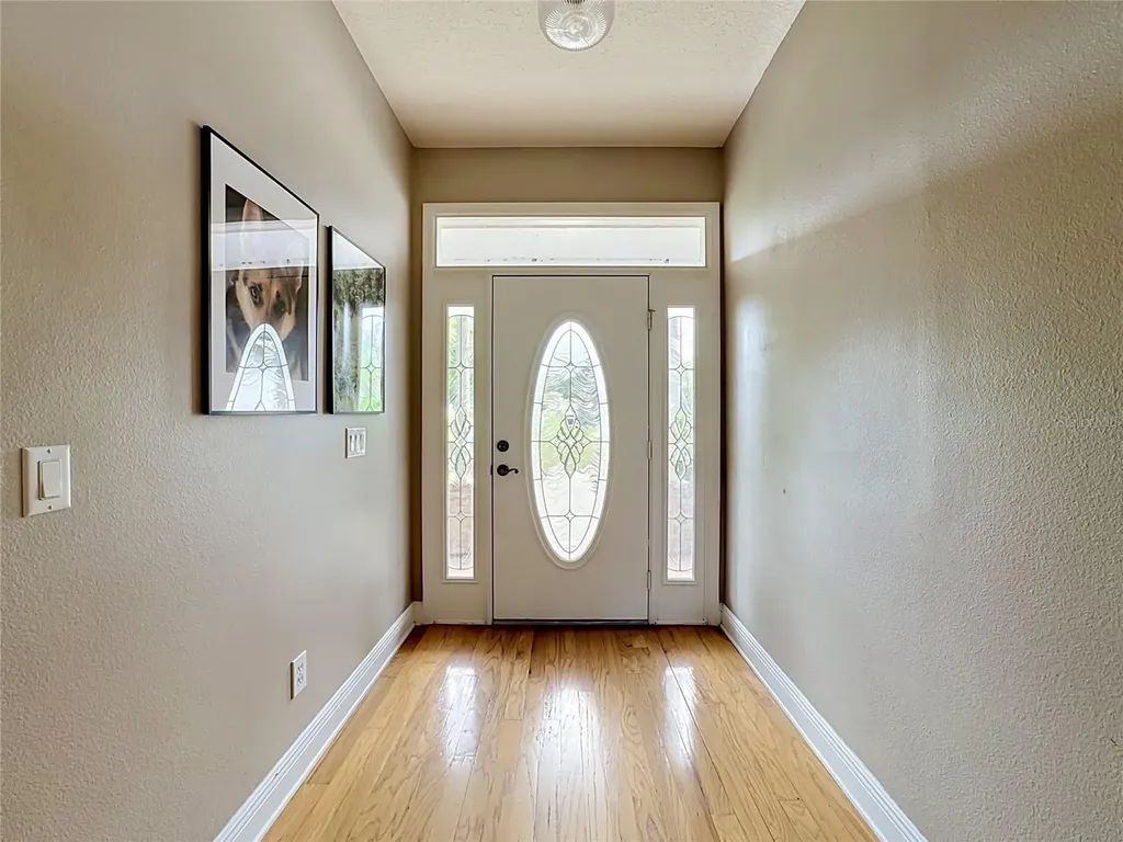 11319 Tralee Drive Riverview FL 33569