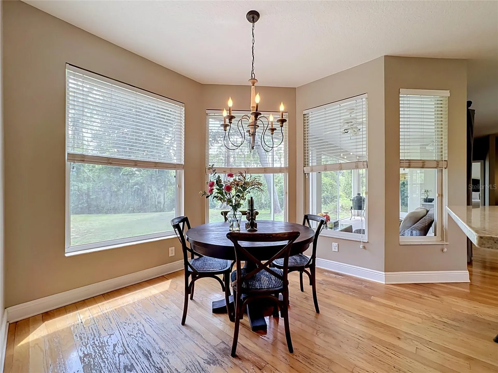 11319 Tralee Drive Riverview FL 33569