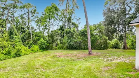 11319 Tralee Drive Riverview FL 33569
