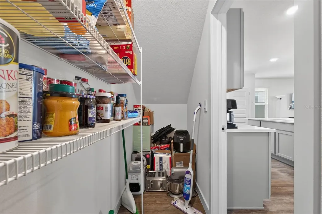 9744 Crescent Ray Drive Wesley Chapel FL 33545