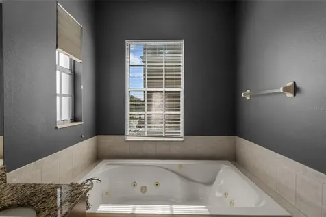 2419 Victoria Gardens Lane Tampa FL 33609