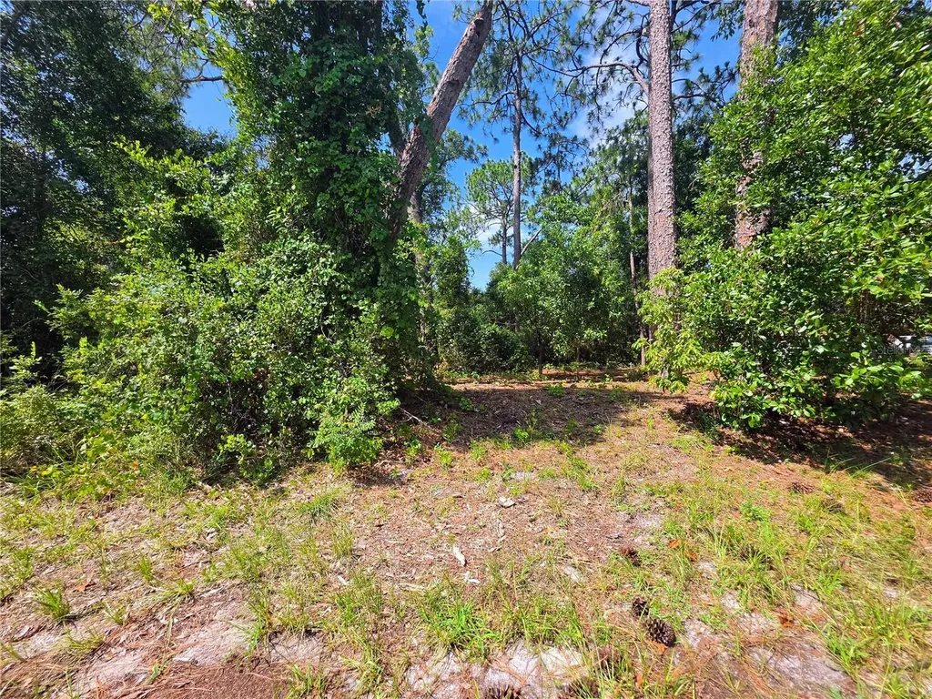 1255 Myra Court Deltona FL 32738