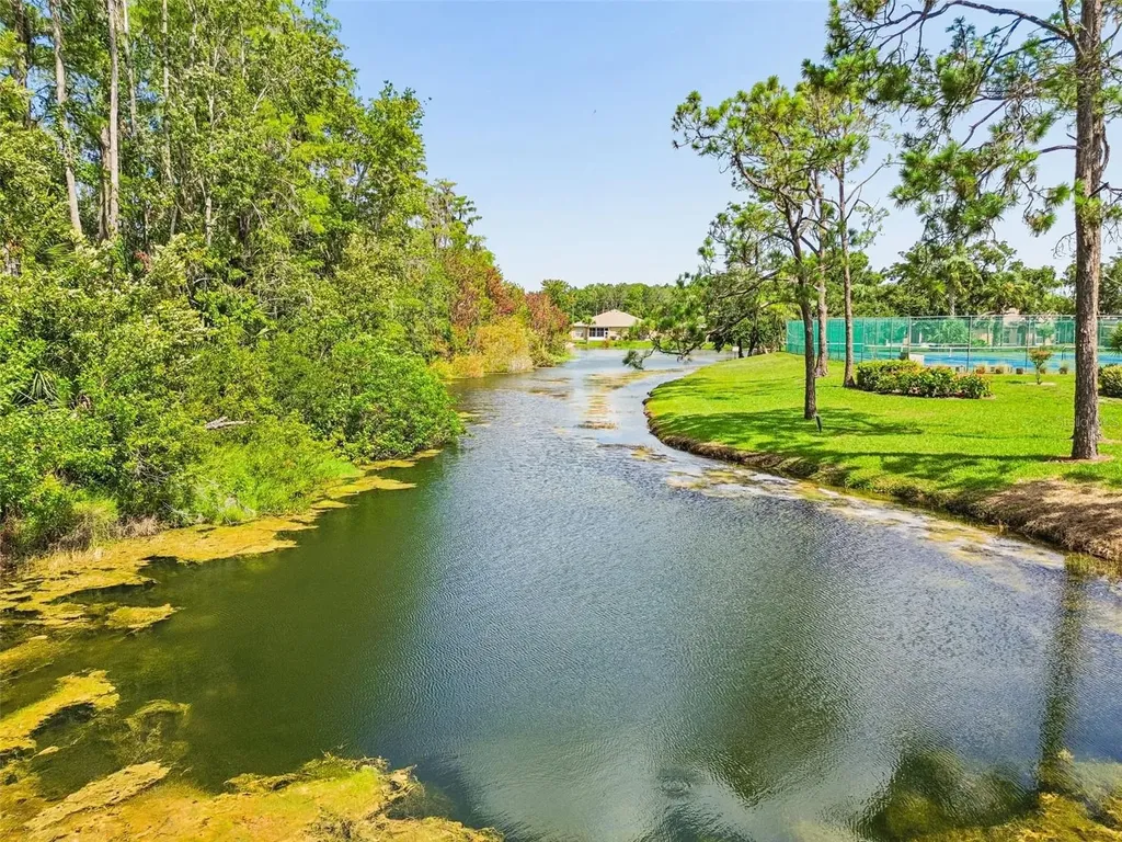 12154 Putter Green Court New Port Richey FL 34654