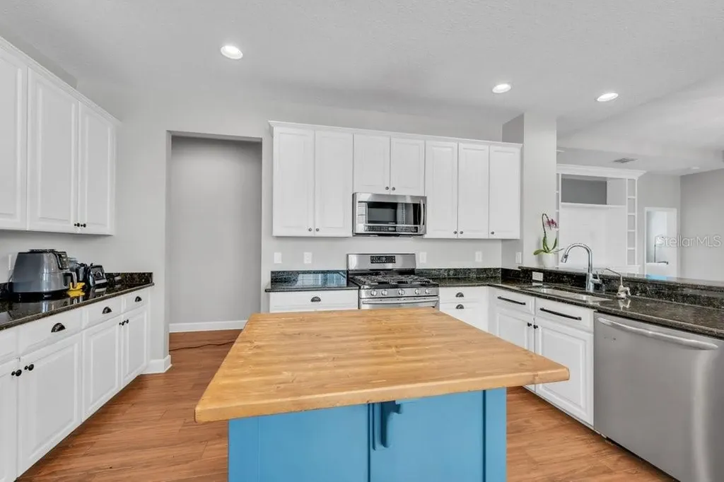 16013 Loneoak View Drive Lithia FL 33547