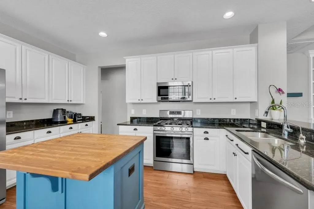 16013 Loneoak View Drive Lithia FL 33547